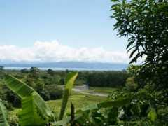 Canasa