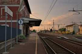 Canavese