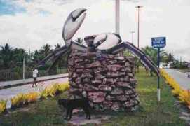triptobrazil.com Canavieiras