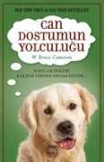 Candostum