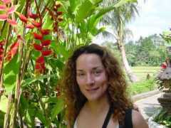 thefickeadventure.com Candri
