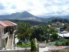 Canedo