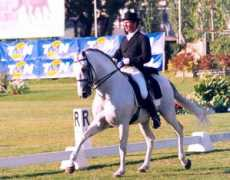 cavalos-lusitanos.com Canelas