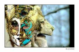 imagecreative.nl Caneval
