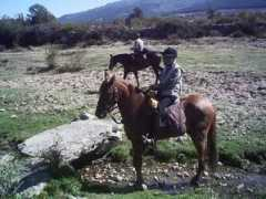 Canhada
