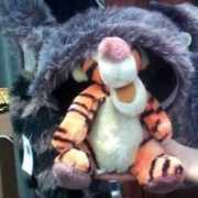 travelswithtigger.com Canhat