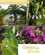 madeira-interserv.com Canico
