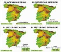 webpersonal.uma.es Canido