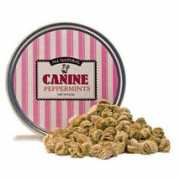 Canine
