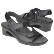 shoeshoetrain.com Canisia