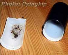 dendroworld.co.uk Cannister
