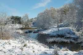 Cannock