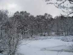 Cannock