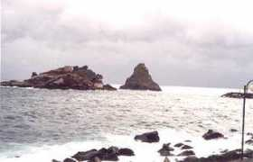 Cannoletta