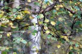 isphoto.blogg.no Canoen