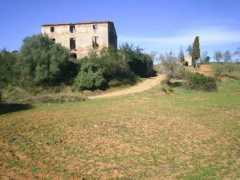 Canonge