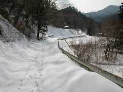 .ocn.ne.jp Canping