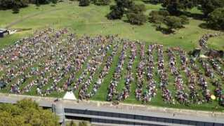 news.com.au Cansick