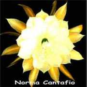 Cantafio