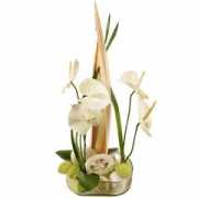florajet.com Cantate