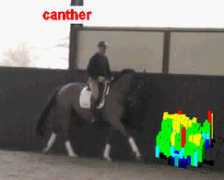 novel.de Canther