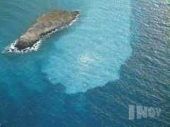 amapanarea.it Capaccioni