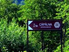 Capalna