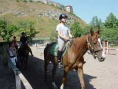Capari