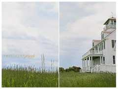 tricialeephotography.com Capecod