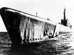 oneternalpatrol.com Capelin