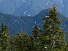 vancouver-canada.ca Capilano