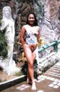 dipologcity.com Capillan