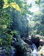 honduras.com Capiro
