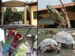 bed-breakfast-italy.com Cappeller