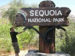 mee.tcd.ie Cappelletta