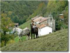 brembana.info Cappellette