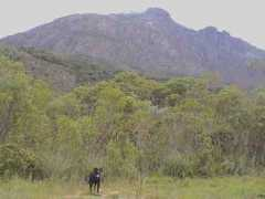 viagensmaneiras.com Caraca