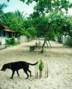 Caraiva