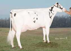 verhageholsteins.com Caralie