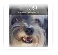 myhavanese.ca Caralita