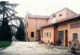 Caramaschi