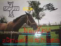 maja.wbs.cz Caramela