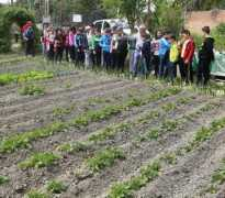 elnortedecastilla.es Carande