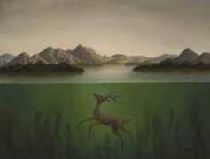 arrestedmotion.com Carandente