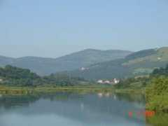 Carasa