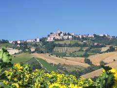 avacationrental4me.com Carassai