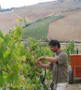 avacationrental4me.com Carassai