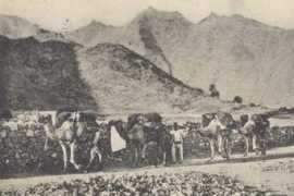 camellosafari.com Caravana