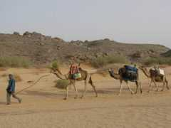 michka.my.tripper-tips.com Caravane