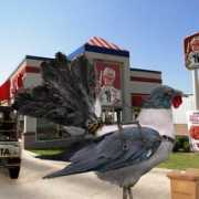 photoshopcontest.com Carcarlo